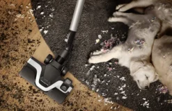 Rowenta RO7690 Silence Force Cyclonic Animal | Beutelloser Staubsauger | Vacuum-Cleaner | Sehr Leise | 2,5L Staubvolumen | Tierhaare | Auto | Schwarz/Blau 14 Rowenta RO7690 Silence Force Cyclonic Animal | Beutelloser Staubsauger | Vacuum-Cleaner | Sehr Leise | 2,5L Staubvolumen | Tierhaare | Auto | Schwarz/Blau -Besten Staubsauger Geschäft ec5c979faa10777adbdbb638f76134b2